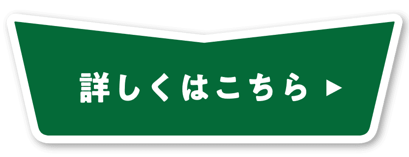 詳しくはこちら