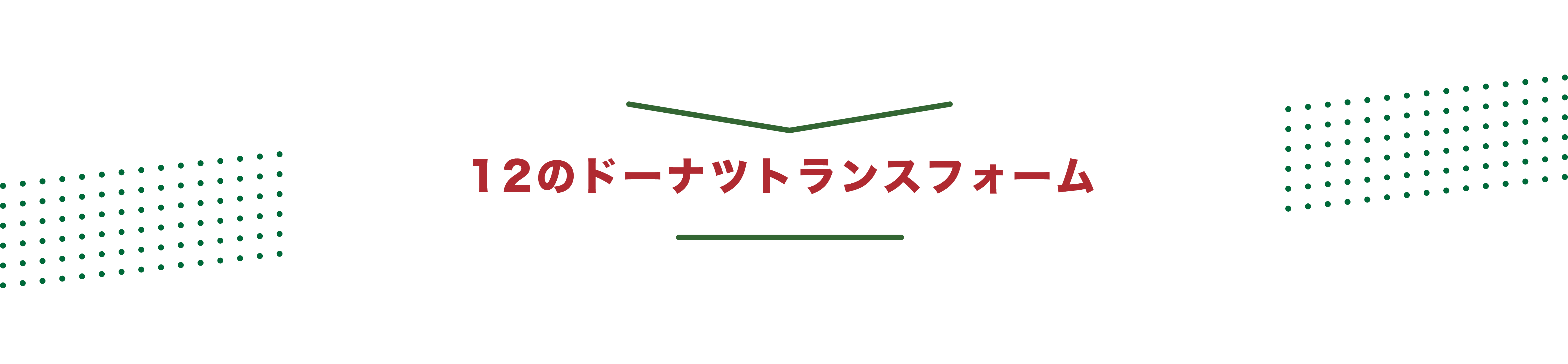12のドーナツトランスフォーム