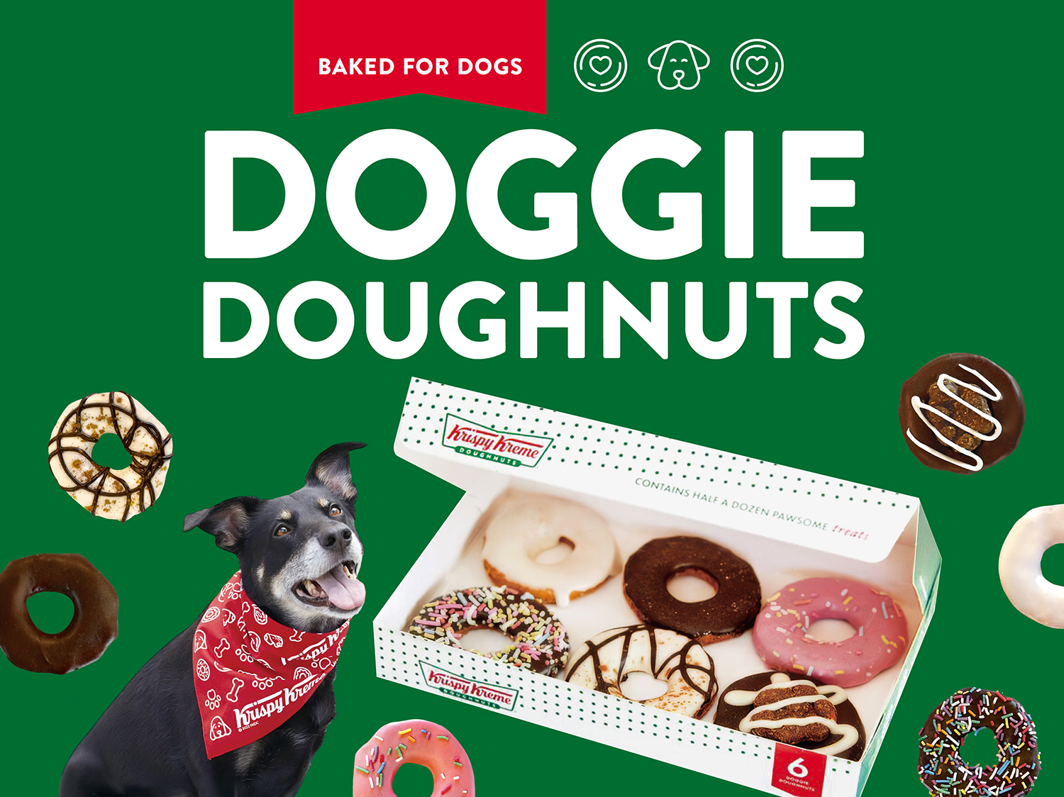 Doggie Doughnuts