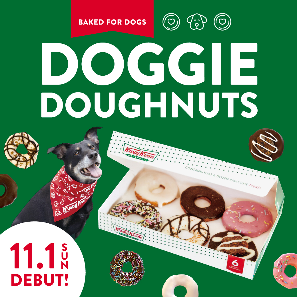 Doggie Doughnuts